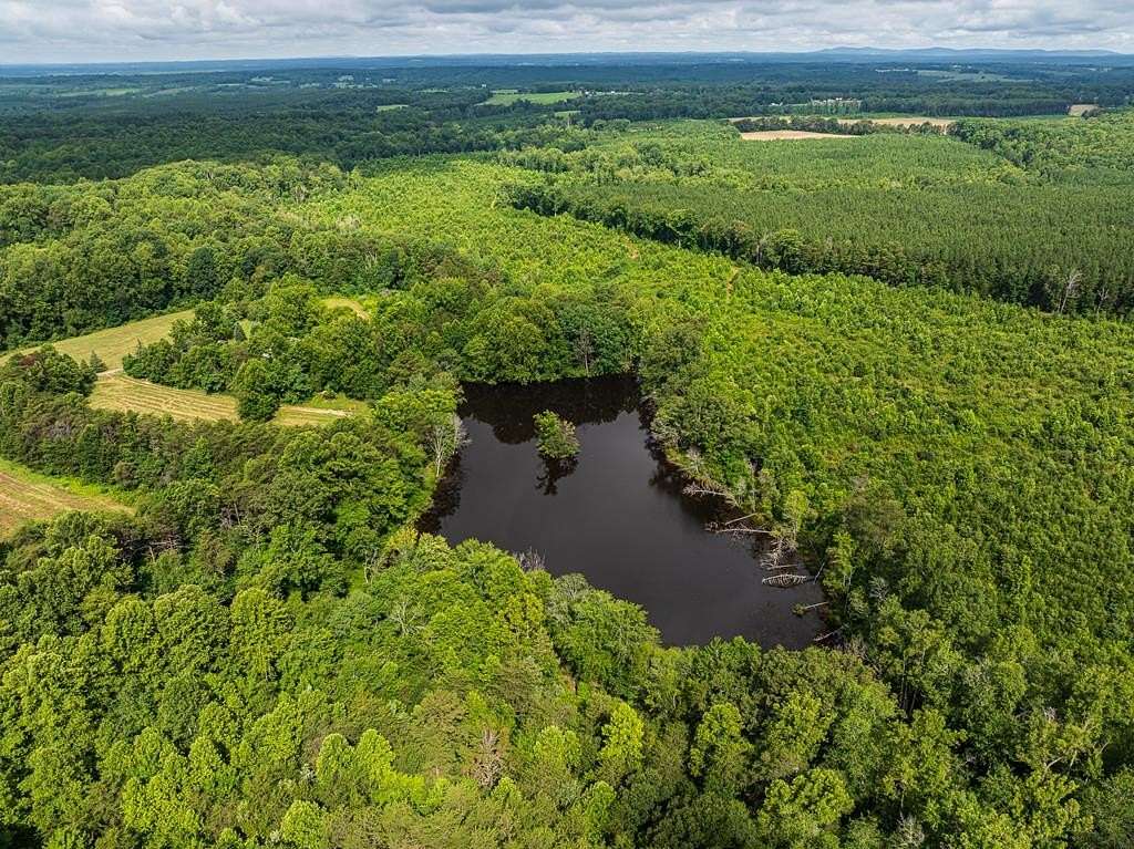 Land for Sale in Brookneal, Virginia