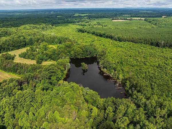 Land for Sale in Brookneal, Virginia