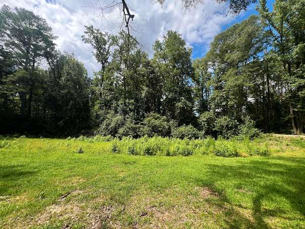 1 Acre of Land for Sale in Fayette, Alabama