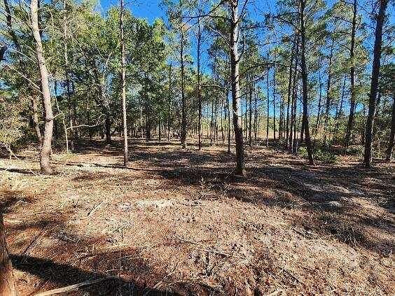 1.2 Acres of Residential Land for Sale in DeFuniak Springs, Florida