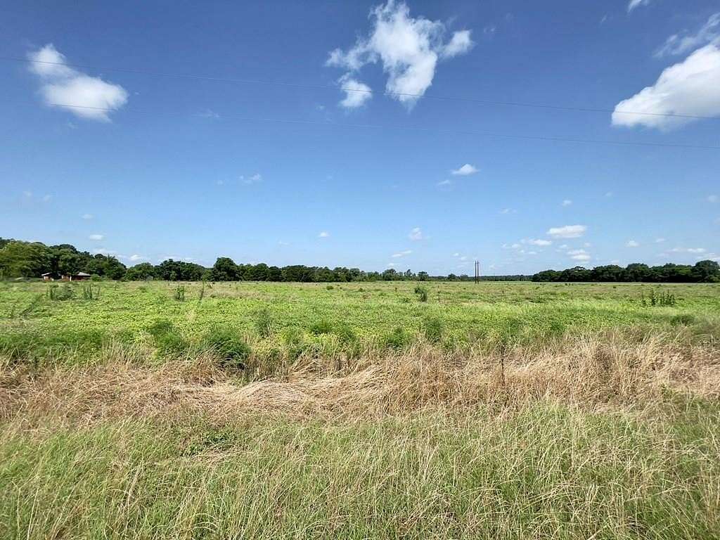 5 15 Acres of Residential Land - Webb Al 145067439