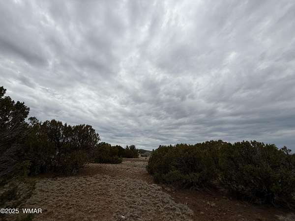 2 29 Acres of Land for Sale in - Concho Az 145068768