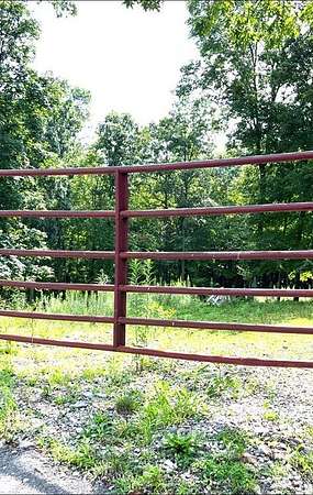 96.4 Acres of Recreational Land for Sale in New Martinsville, West Virginia