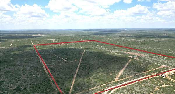 50 Acres of Recreational Land for Sale in Freer, Texas