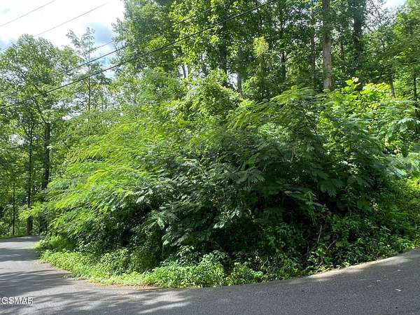 0.6 Acres of Residential Land for Sale in Gatlinburg, Tennessee