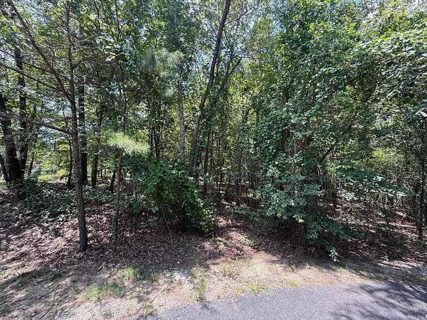 0.25 Acres of Residential Land for Sale in Hot Springs Village, Arkansas