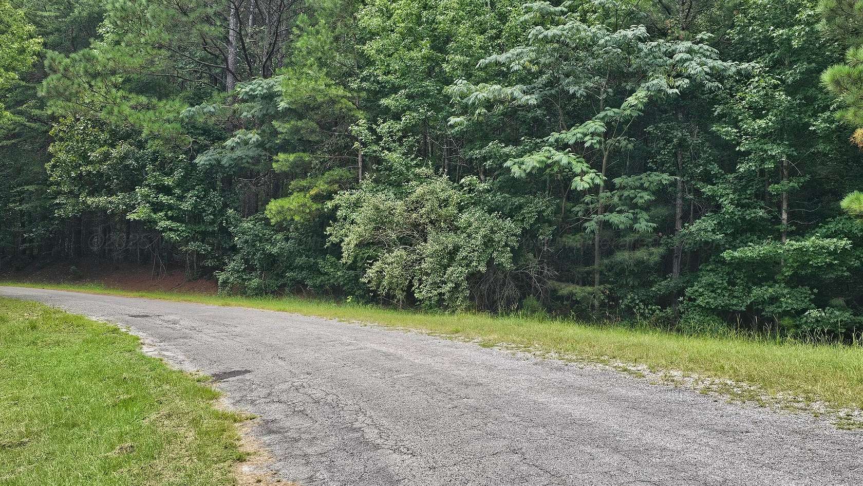 8.1 Acres of Residential Land for Sale in Nauvoo, Alabama