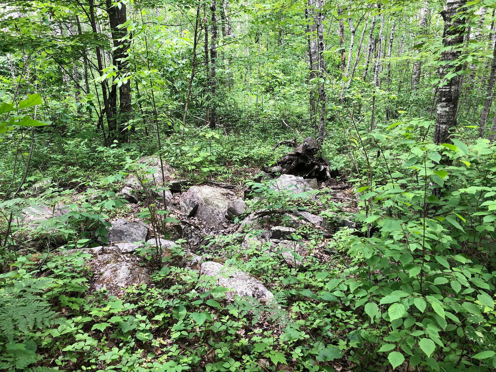 40 Acres of Recreational Land for Sale in Barnum Township, Minnesota