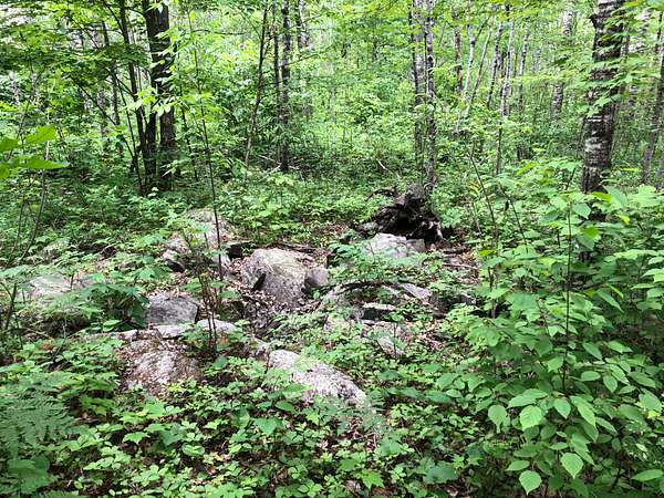 40 Acres of Recreational Land for Sale in Barnum Township, Minnesota