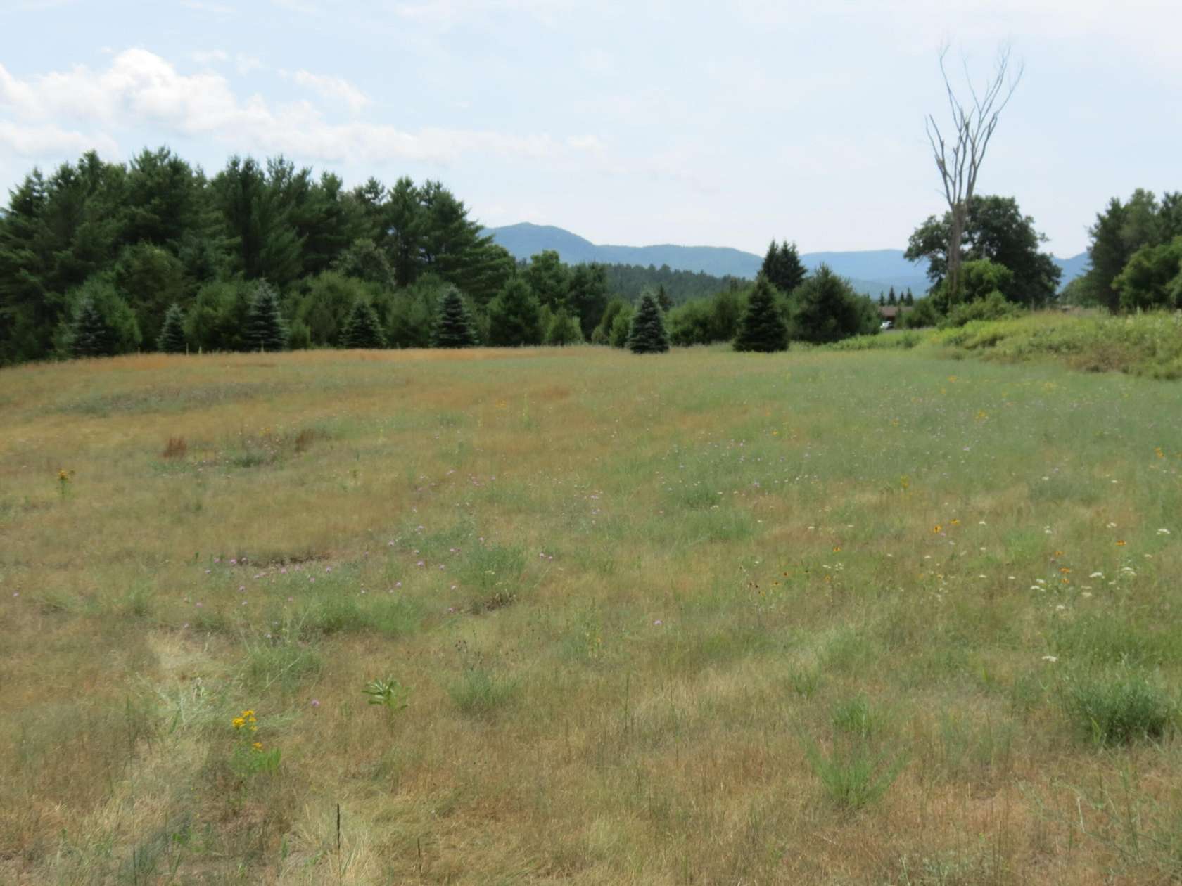 1.6 Acres of Residential Land for Sale in Jay, New York