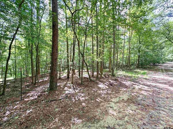 5 Acres of Land for Sale in Frankston, Texas