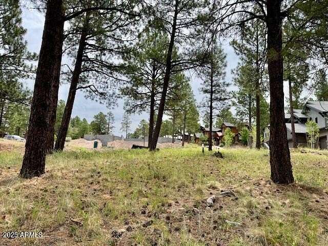 0.44 Acres of Residential Land for Sale in Flagstaff, Arizona