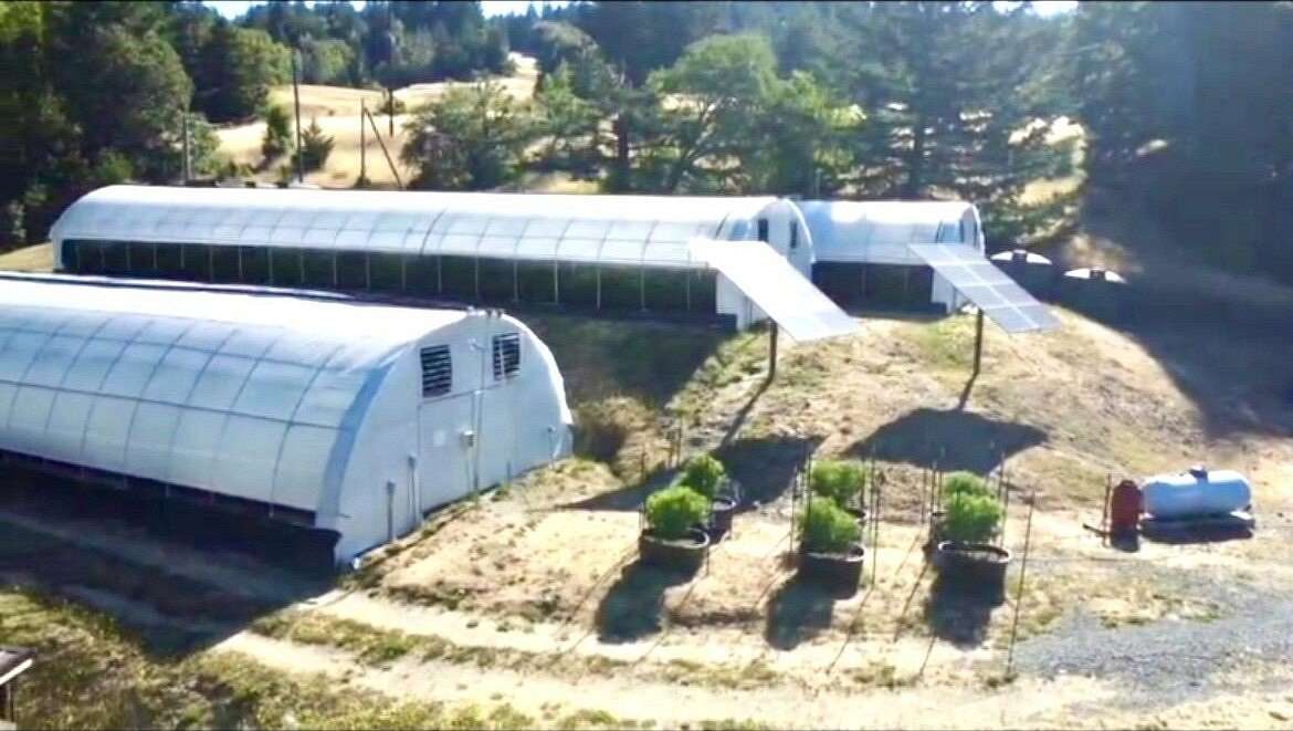 8.9 Acres of Residential Land with Home for Sale in Blocksburg, California