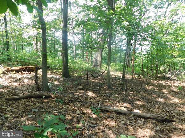 25.4 Acres of Recreational Land for Sale in Front Royal, Virginia