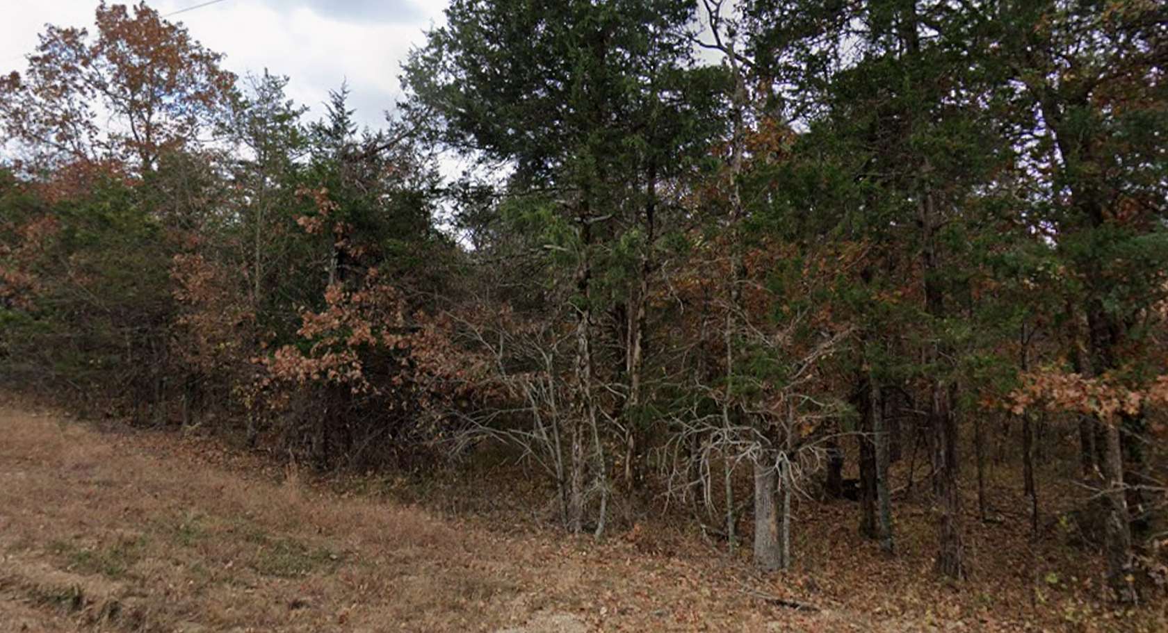 0.2 Acres of Residential Land for Sale in Diamond City, Arkansas
