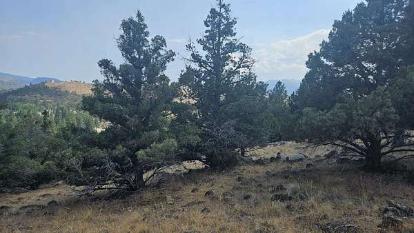 0.48 Acres of Residential Land for Sale in Weed, California