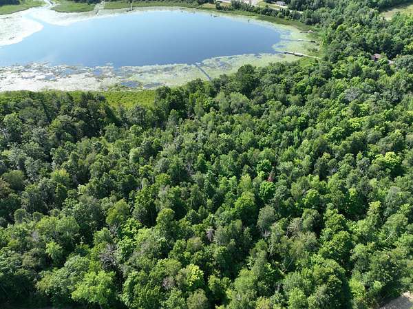 7.1 Acres of Land for Sale in Hackensack, Minnesota