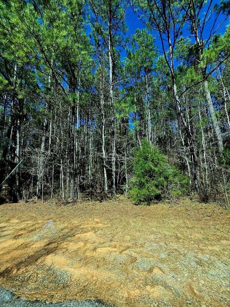 1 Acre of Residential Land for Sale in Ozark, Alabama