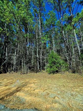 1 Acre of Residential Land for Sale in Ozark, Alabama