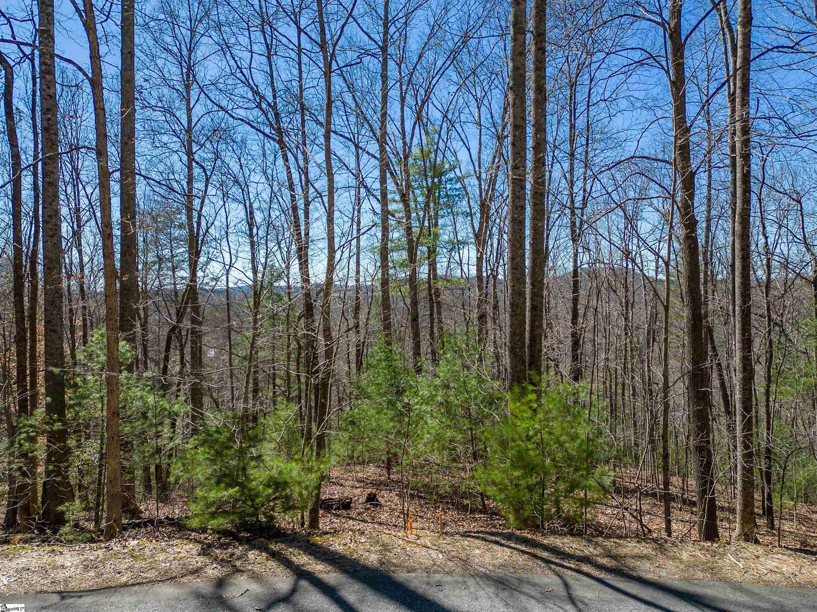 4.23 Acres of Residential Land for Sale in Hendersonville, North Carolina