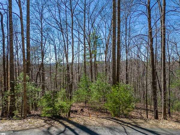 4.23 Acres of Residential Land for Sale in Hendersonville, North Carolina