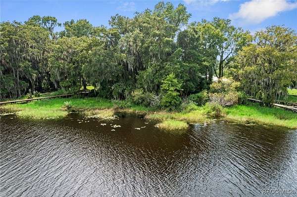 0 46 Acres of Residential Land - Floral City Fl 145114900