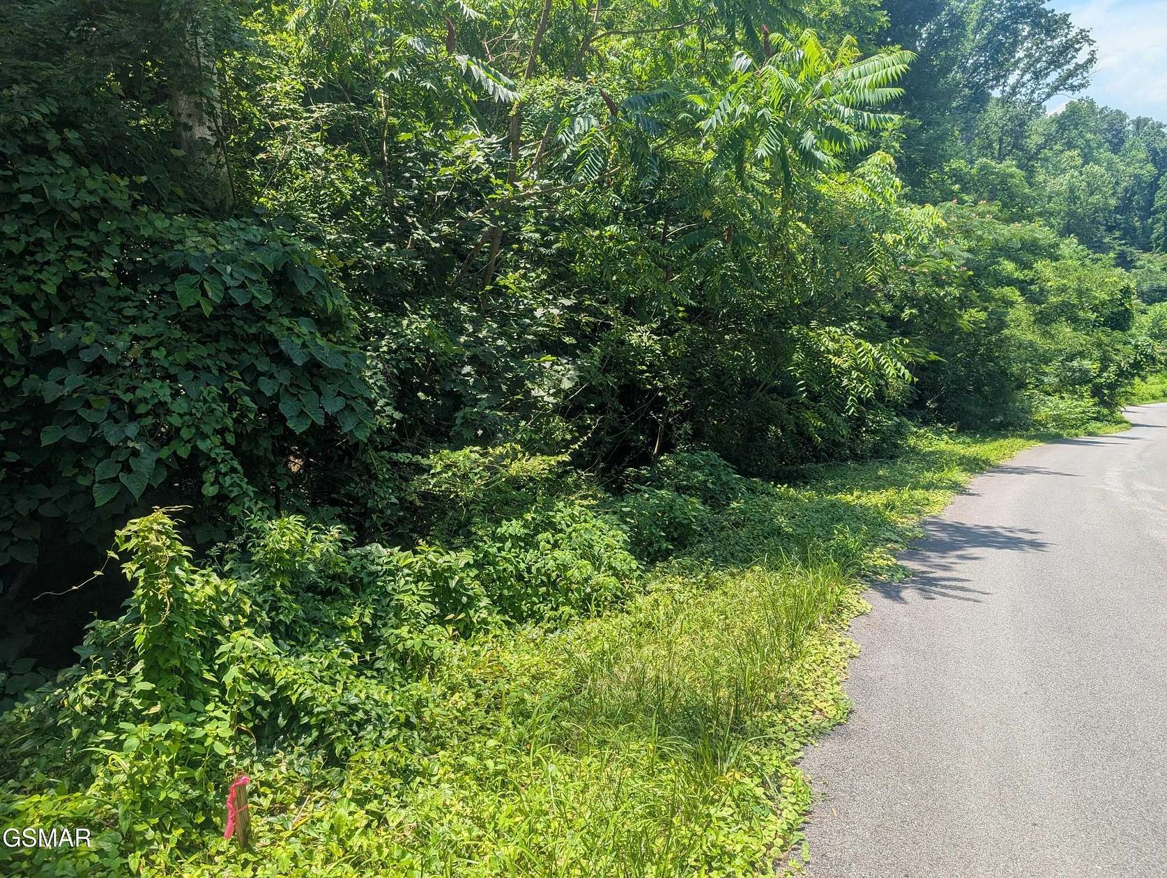 2.5 Acres of Residential Land for Sale in Gatlinburg, Tennessee