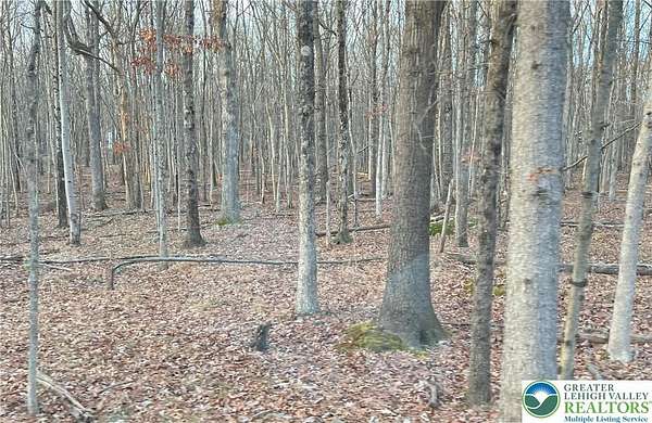 0.4 Acres of Land for Sale in Penn Forest Township, Pennsylvania