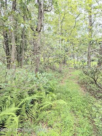 0.33 Acres of Land for Sale in Scotrun, Pennsylvania