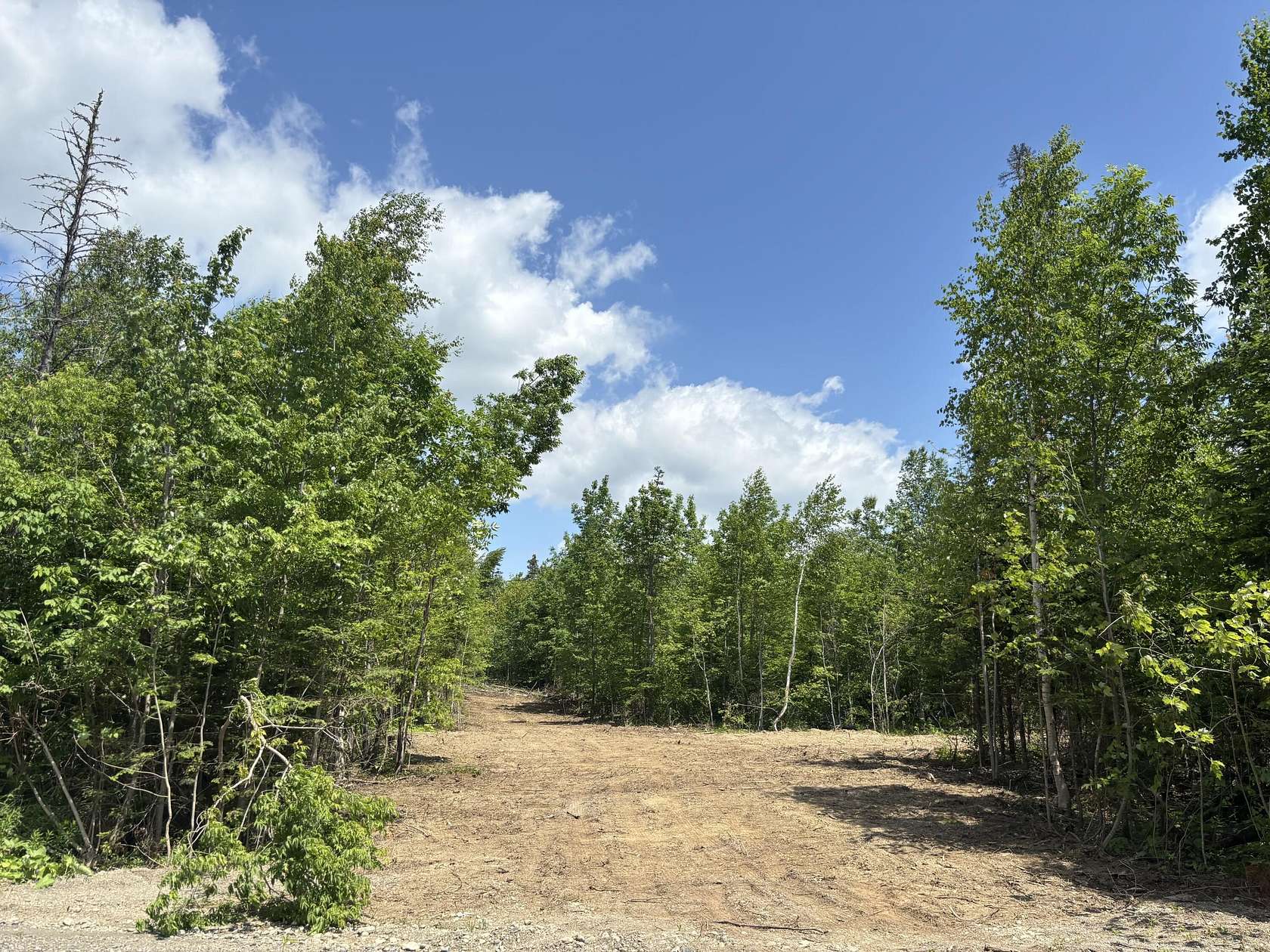4 Acres of Land for Sale in Littleton, Maine
