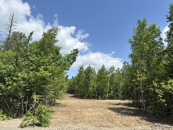4 Acres of Land for Sale in Littleton, Maine