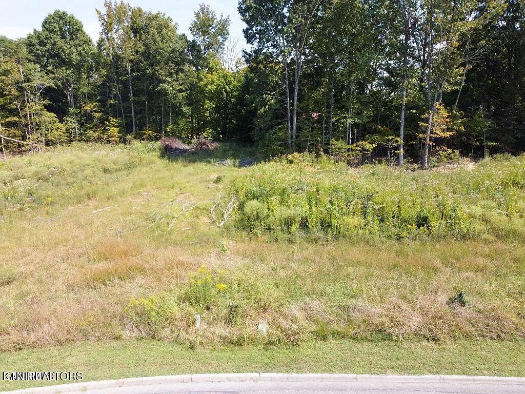 0.69 Acres of Residential Land for Sale in Athens, Tennessee