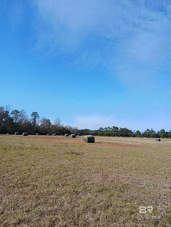 39 Acres of Agricultural & Residential Land for Sale in Summerdale, Alabama