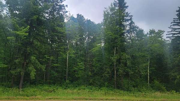40 Acres of Recreational Land for Sale in Prentice, Wisconsin