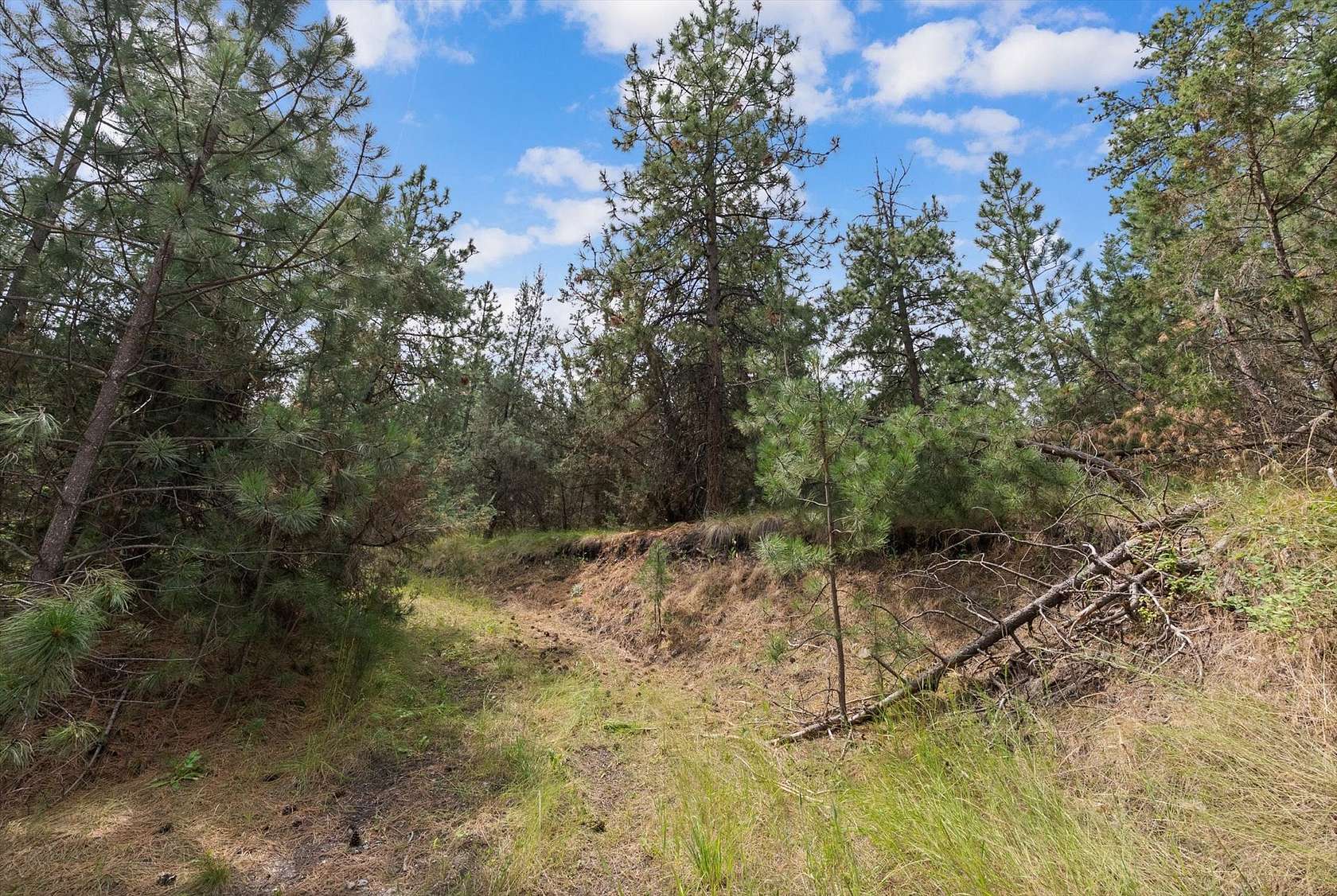 1.1 Acres of Residential Land for Sale in Dayton, Montana
