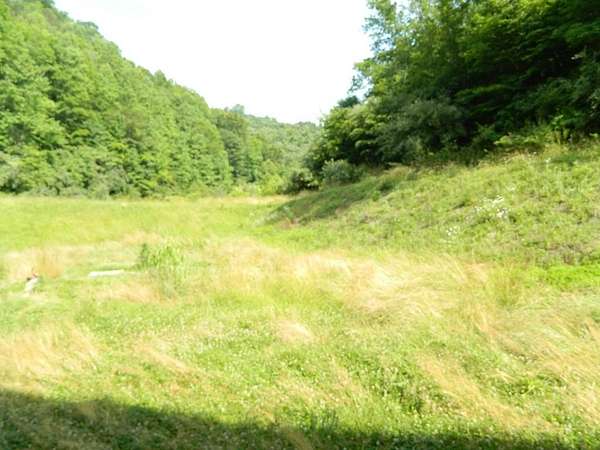 200 Acres of Recreational Land for Sale in Pikeville, Kentucky