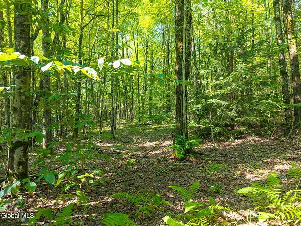 12.3 Acres of Recreational Land for Sale in Schenevus, New York