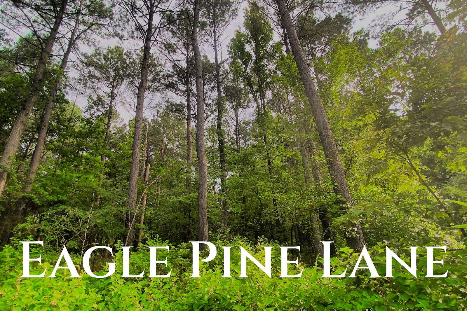 1.3 Acres of Residential Land for Sale in Broken Bow, Oklahoma