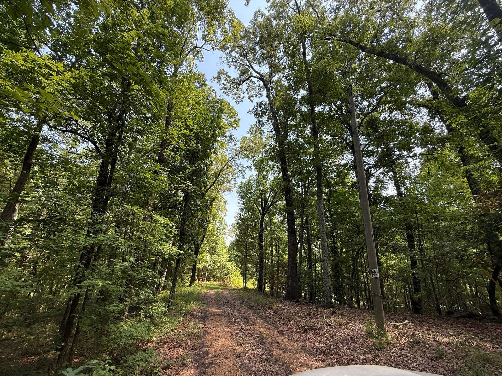 Residential Land for Sale in McCarley, Mississippi