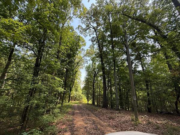 Residential Land for Sale in McCarley, Mississippi