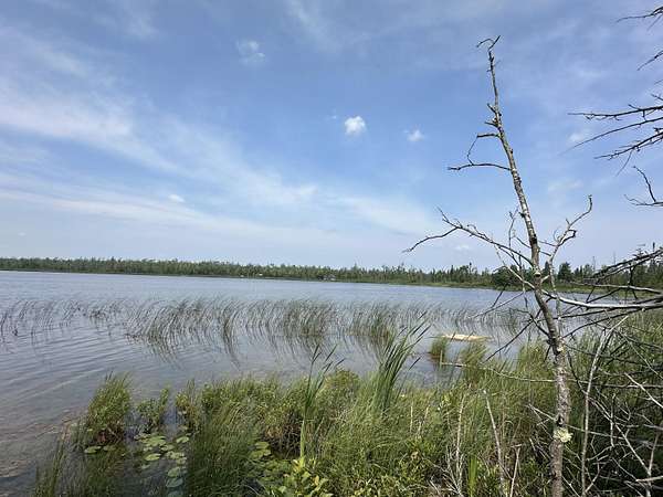 1.6 Acres of Land for Sale in Millersburg, Michigan