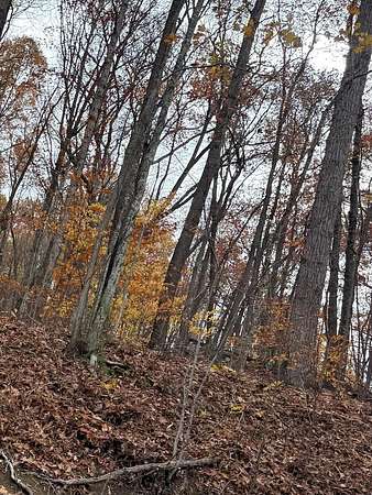 30.2 Acres of Land for Sale in Lerona, West Virginia