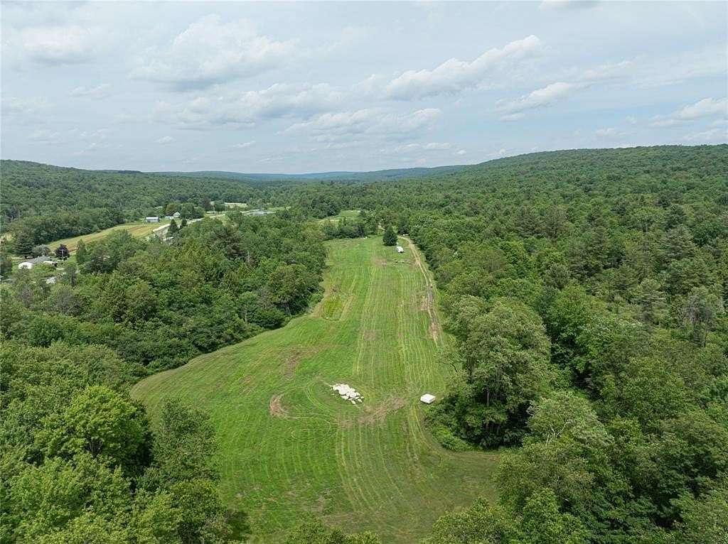 91.4 Acres of Land for Sale in McDonough, New York