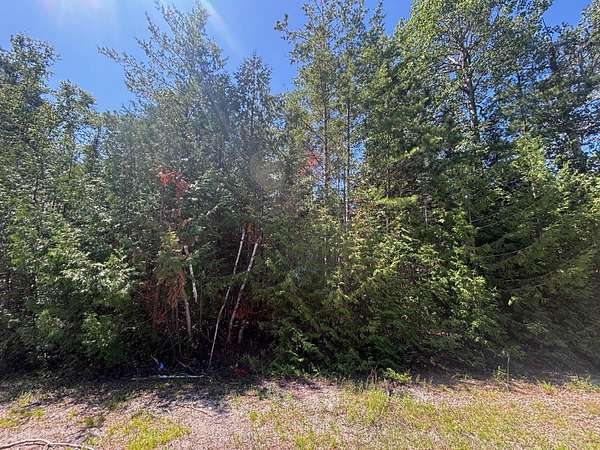 Land for Sale in Presque Isle, Michigan