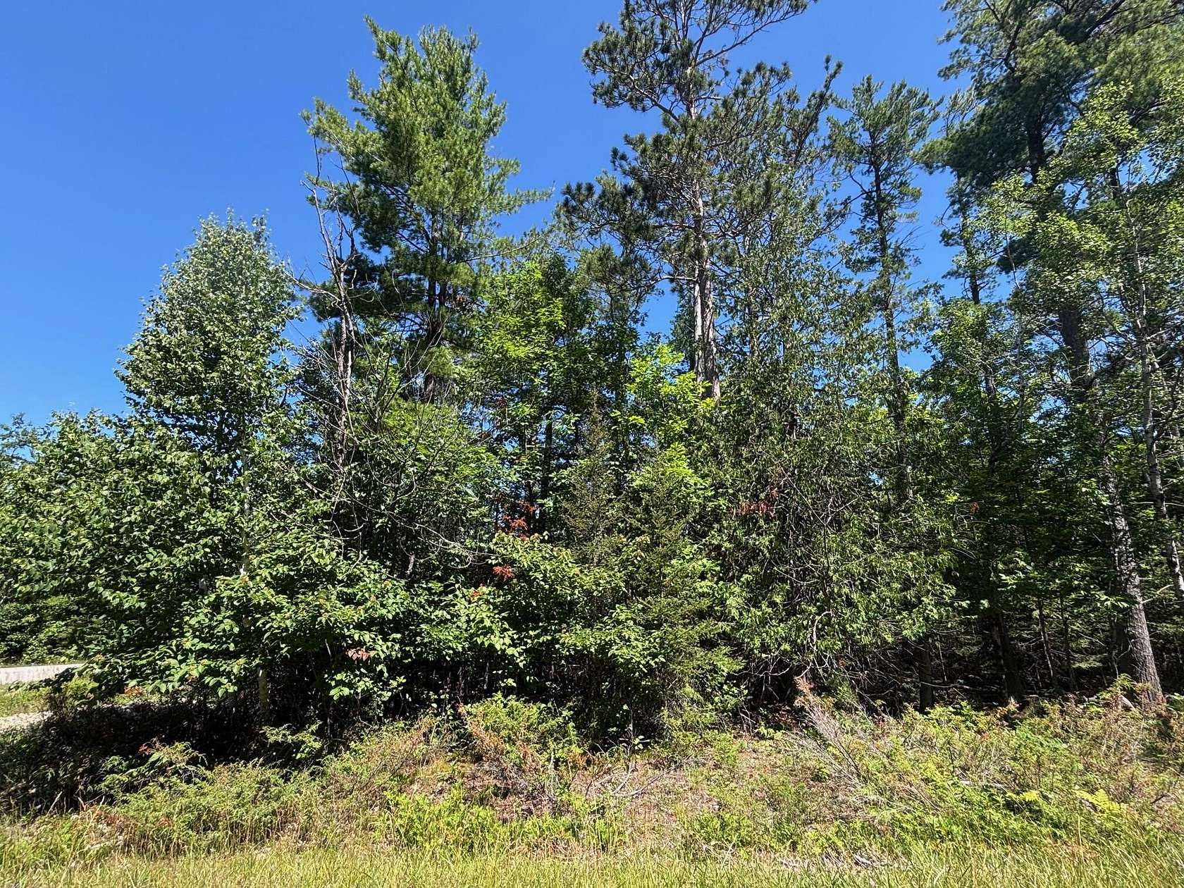 0.37 Acres of Land for Sale in Presque Isle, Michigan
