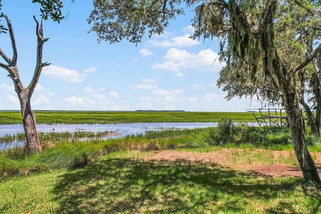 1 Acre of Residential Land for Sale in Townsend, Georgia