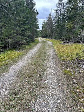 0.5 Acres of Residential Land for Sale in Bois Blanc Township, Michigan