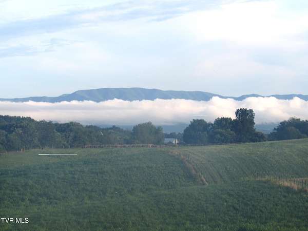 4.2 Acres of Residential Land for Sale in Limestone, Tennessee