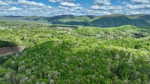 54.9 Acres of Recreational Land for Sale in Lewisburg, West Virginia