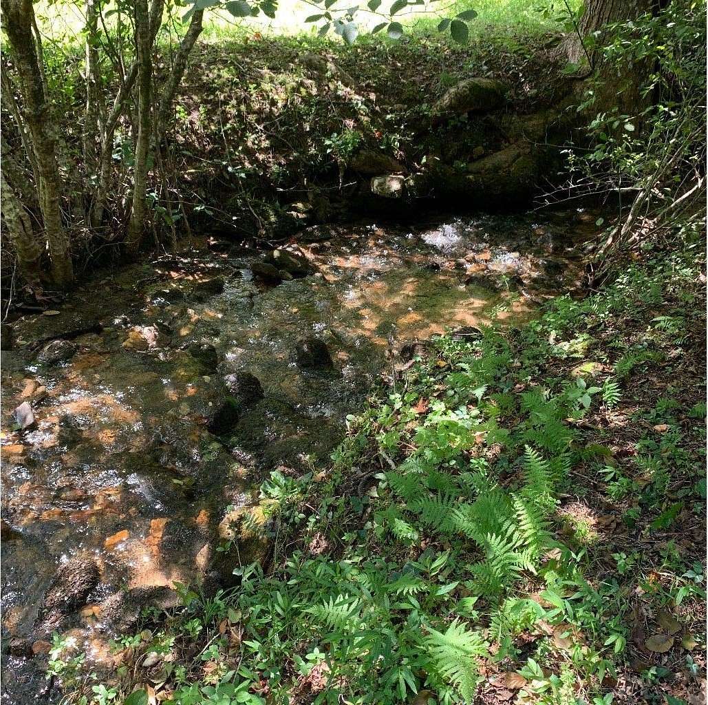 1.65 Acres of Residential Land for Sale in Blairsville, Georgia